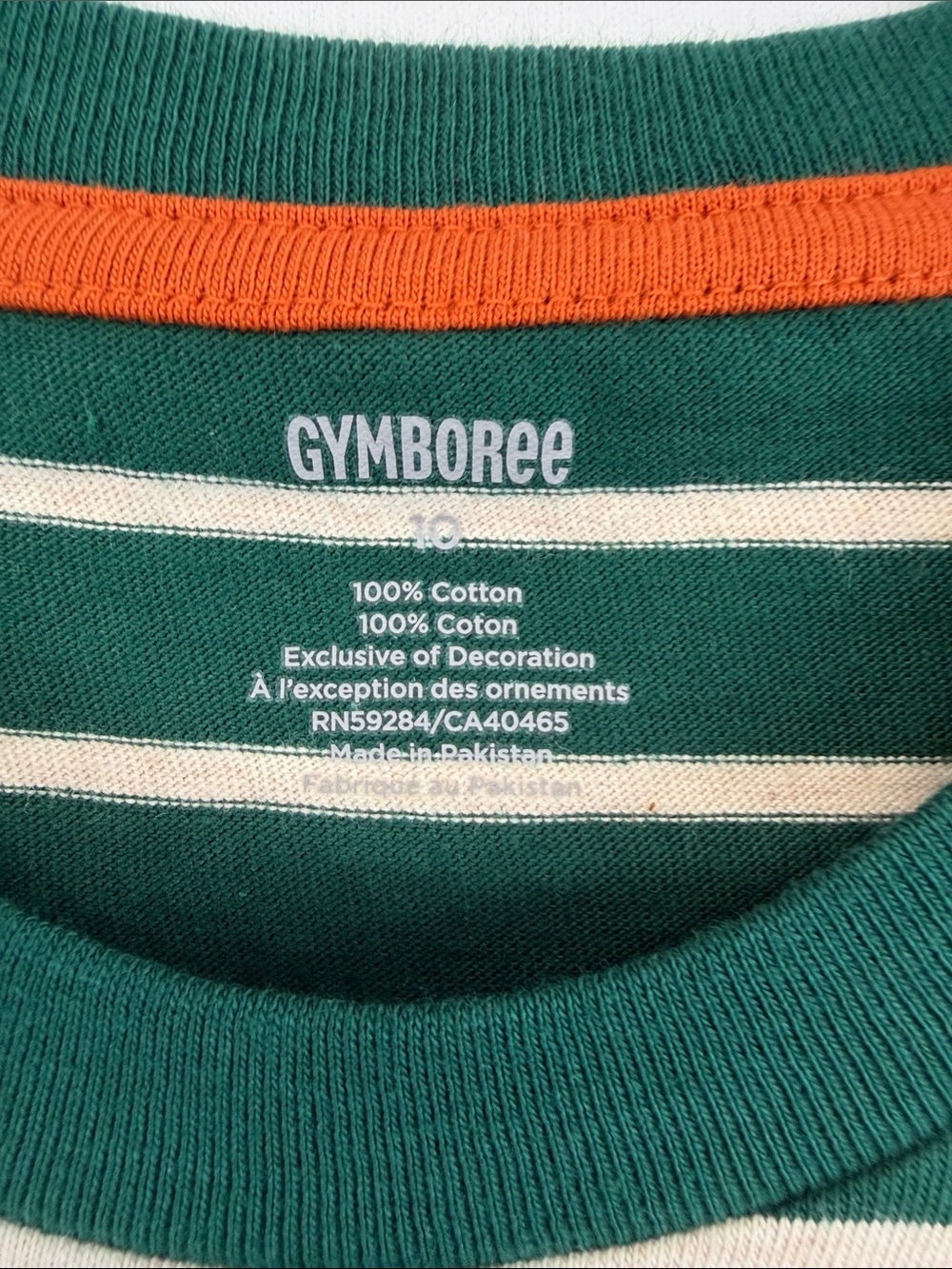 NWT Gymboree Noble Forest Fox Striped Long Sleeve Shirt Boys 10 - Picture 2 of 6